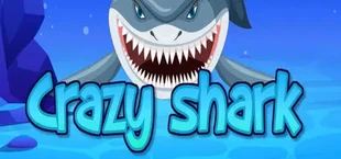 Crazy shark