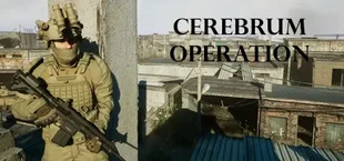 Cerebrum Operation
