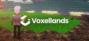 Voxellands