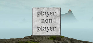 Player Non Player