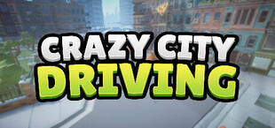 Crazy City Driving