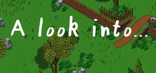 A look into...