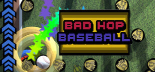 Bad Hop Baseball