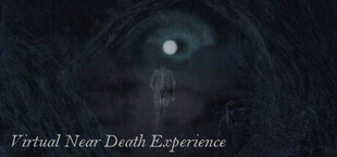 Virtual Near Death Experience