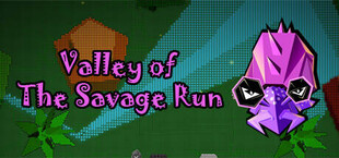 Valley of The Savage Run