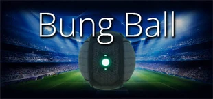 Bung Ball