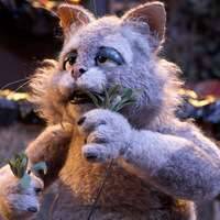 MarionCat