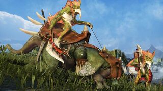 Black Desert — Второе тизер-видео с официального сайта