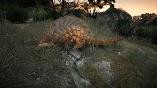 Black Desert — Медия и Самурай уже в феврале