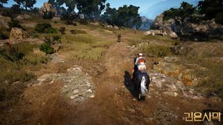 Black Desert — Разработчики представили новых маунтов, способных перевозить двух персонажей
