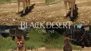 Black Desert Online EU/NA — Информация о первом европейском ЗБТ