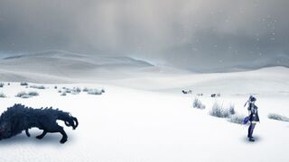 Black Desert — Хозяин остается без спутника?