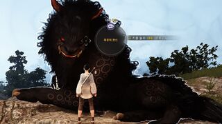 Пробуждение Мистика в корейской версии Black Desert запланировано на 18 февраля