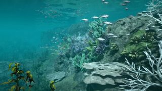 Массивное обновление морского контента на корейских серверах Black Desert