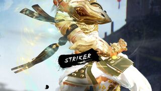 Новый класс для корейской Black Desert — Striker 