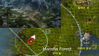 В Black Desert добавили двух мировых боссов