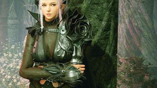 Обновление корейской версии Black Desert: союзы гильдий и изменения баланса PvE