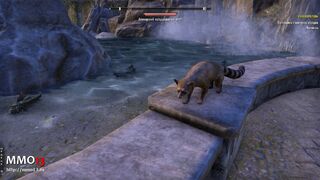 Обзор The Elder Scrolls Online: Summerset  — «Симулятор библиотеки» 