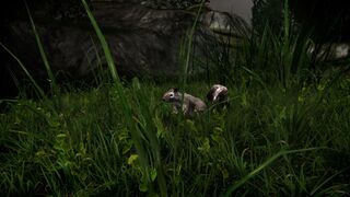 Скриншот 8 к игре Miasmata