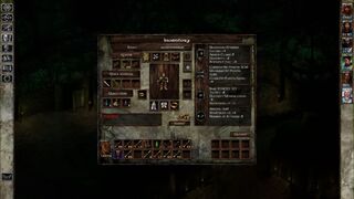 Скриншот 8 к игре Icewind Dale: Enhanced Edition