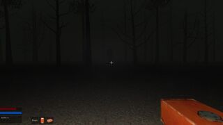 Скриншот 6 к игре Lost in a Forest