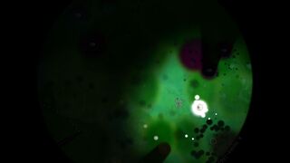 Скриншот 8 к игре Little Cells
