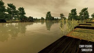 Скриншот 5 к игре Carp Fishing Simulator