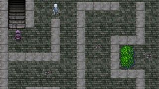 Project Druid - 2D Labyrinth Explorer-