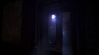 Скриншот 8 к игре The Guest