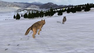 Скриншот 7 к игре WolfQuest: Classic