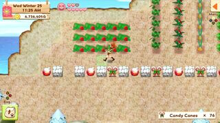 Скриншот 5 к игре Harvest Moon: Light of Hope Special Edition