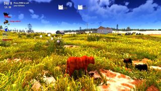 Скриншот 8 к игре Cat survival
