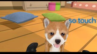 Puppy Doge VR