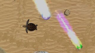 Скриншот 5 к игре Turtle Quest
