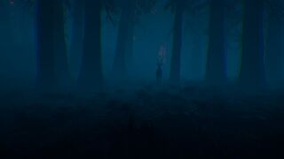 Скриншот 7 к игре The Woods