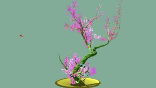 Tree Bonsai