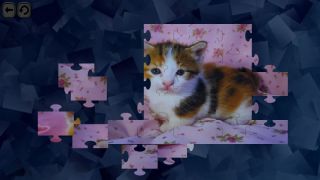 Puzzles for smart: Cats