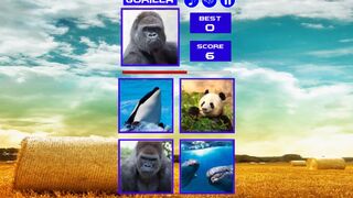 Скриншот 5 к игре Guess who ?