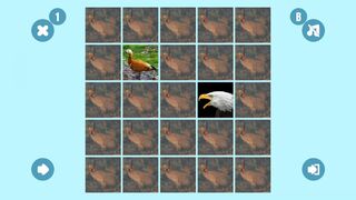 Скриншот 5 к игре Bird couple