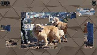 Скриншот 5 к игре Puzzles for smart: Dogs