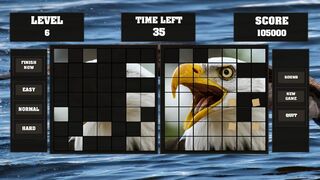 Скриншот 5 к игре Fitzzle Majestic Eagles