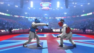 Скриншот 5 к игре Taekwondo Grand Prix