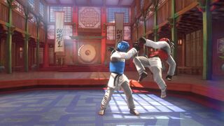 Скриншот 8 к игре Taekwondo Grand Prix