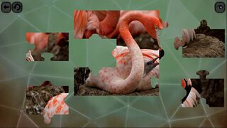 Скриншот 8 к игре Puzzles for smart: Birds