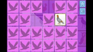 Скриншот 6 к игре Bird Memory