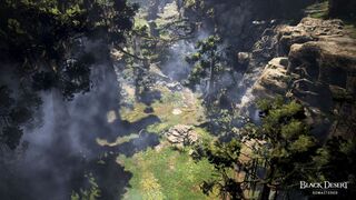 Главное с Black Desert FESTA