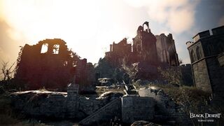 Главное с Black Desert FESTA