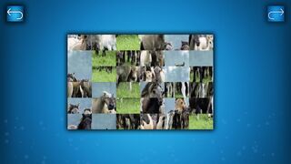 Скриншот 5 к игре PUZZLE: ANIMALS