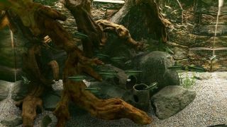 Biotope