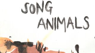 Скриншот 5 к игре Song Animals